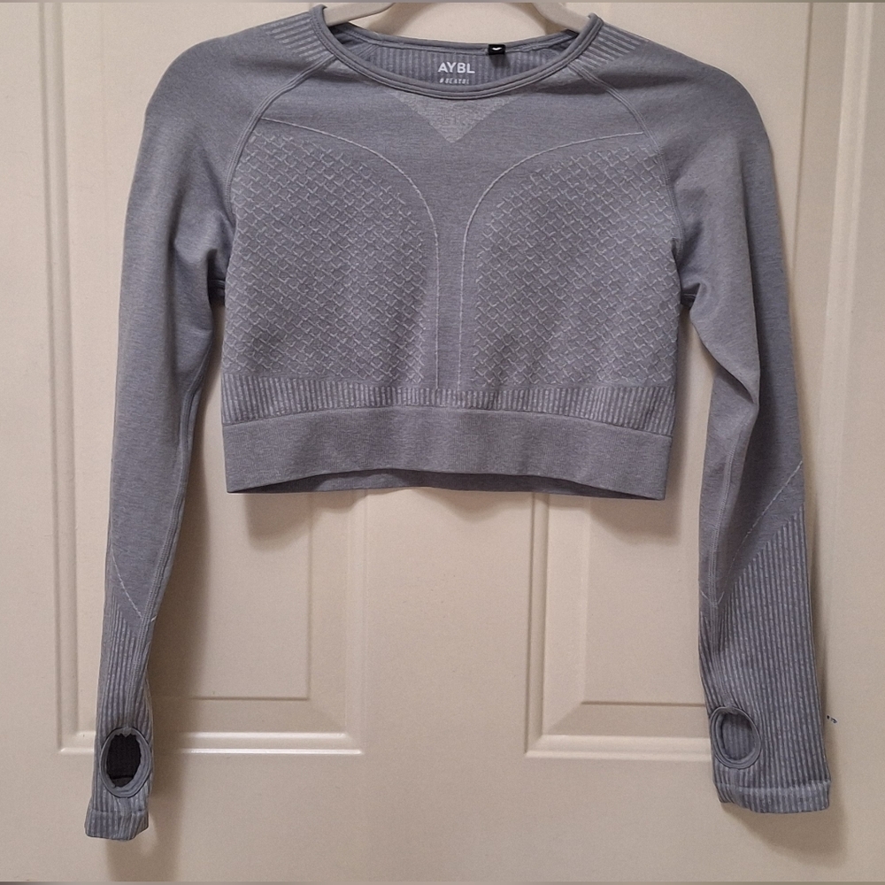AYBL Grey Seamless Long-Sleeve Crop Top, Large